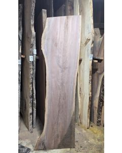 Black Walnut 
