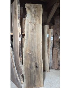 Costa Rican Blackwood