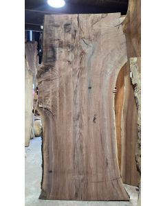 Black Walnut 