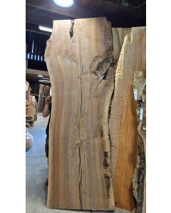 Black Walnut