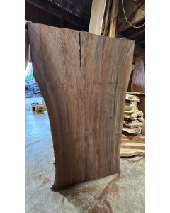 Black Walnut 