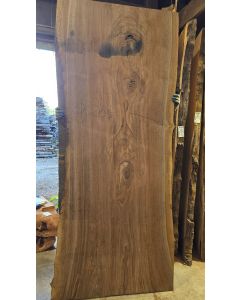 Black Walnut 