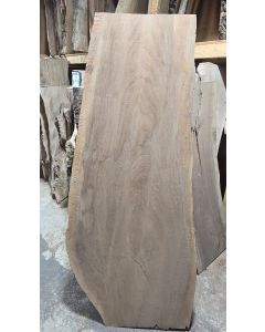 Black Walnut 