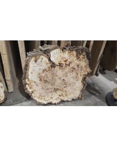 Cottonwood Burl 