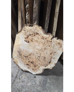 Cottonwood Burl 